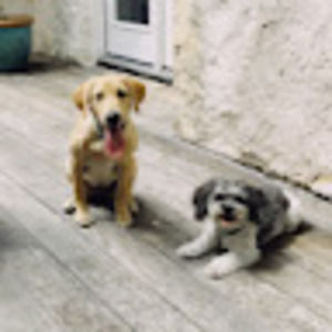 Meet your Posher, Caroline